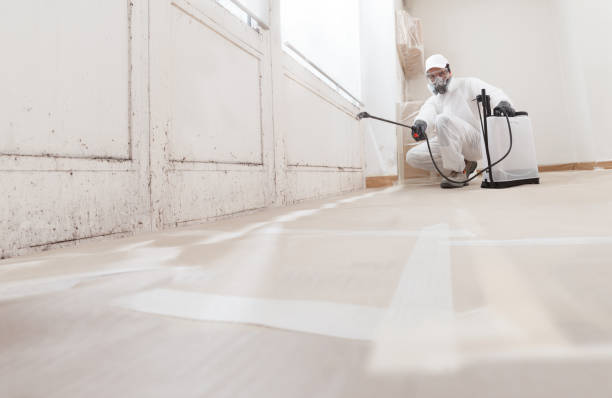 24/7 Emergency Mold Remediation experts in Plantation, FL